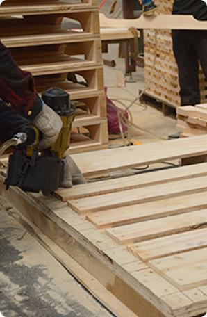 jinnianhui�����