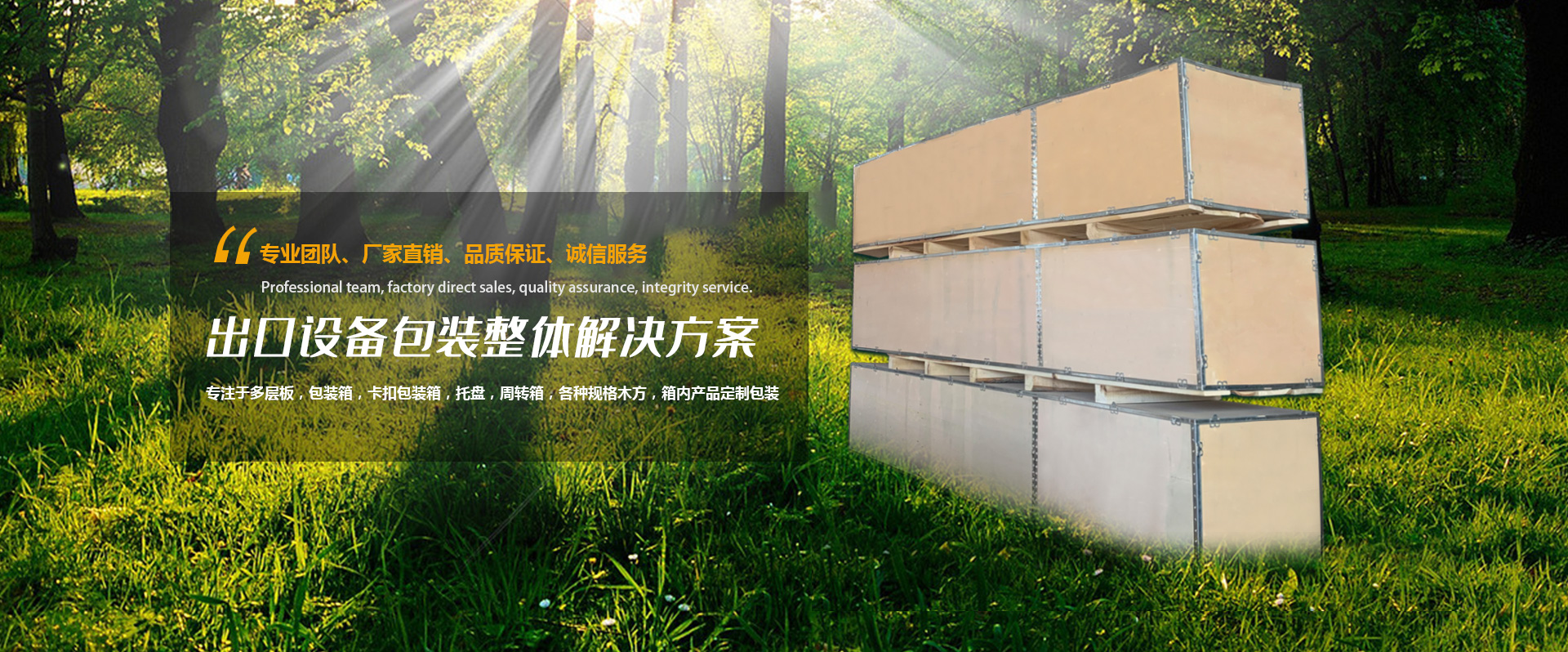 jinnianhui�����